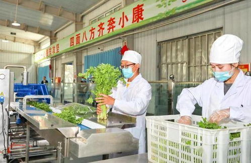 援疆一年半,浦东一名摄影记者用镜头带回了 盛开的幸福花